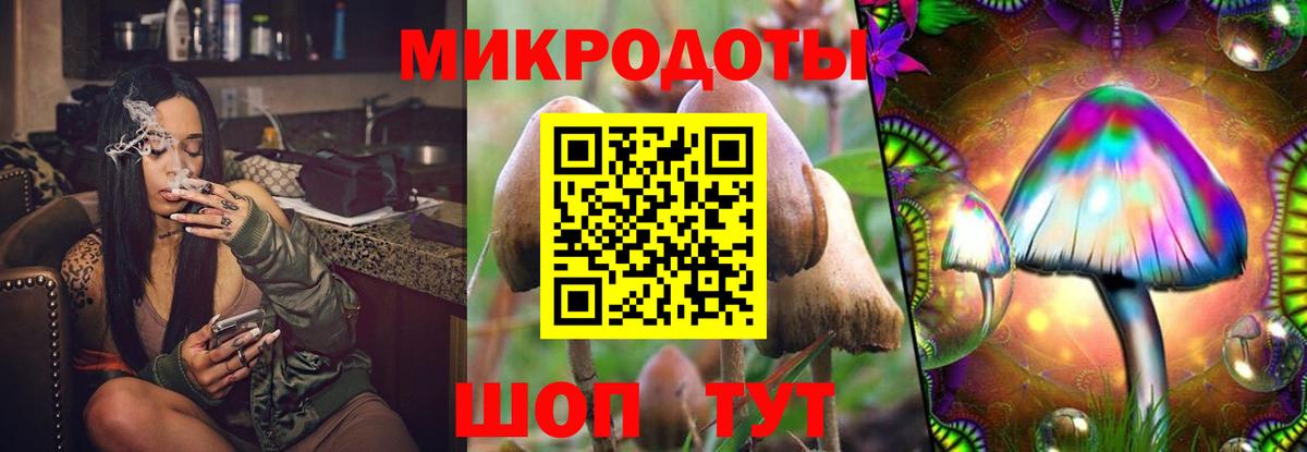Кизилюрт  Галлюциногенные грибы мицелий  Вход с VPN 