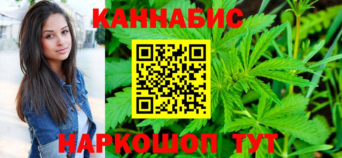 МЕФ Кизилюрт